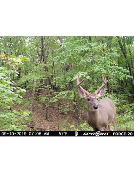 SPYPOINT FORCE 20 FOTOTRAPPOLA