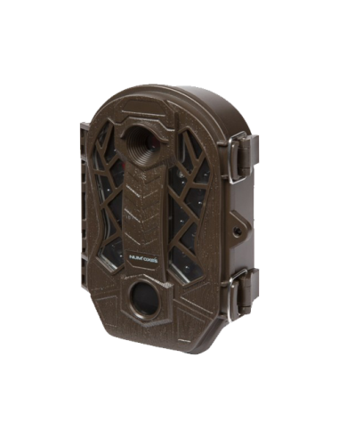 NUM' AXES PHOTO FAUNA