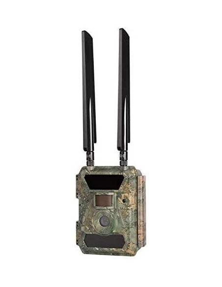 NUM' AXES PHOTO FAUNA PIE1037 4G