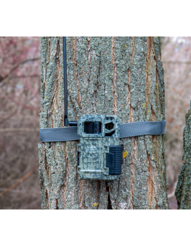 SPYPOINT LINK MICRO LTE