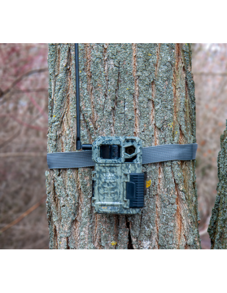 SPYPOINT LINK MICRO LTE