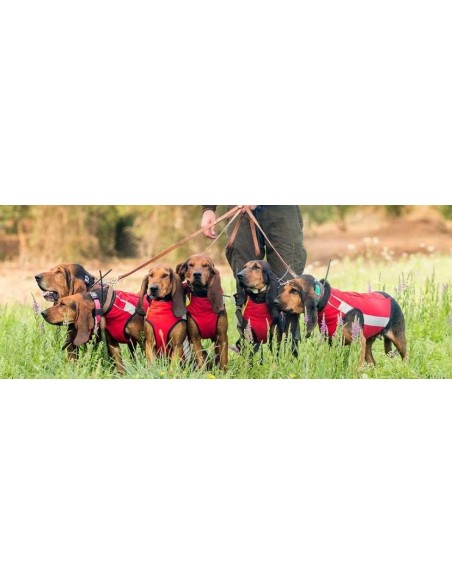 CANICOM GILET ANTIZANNA SOLENGO J45